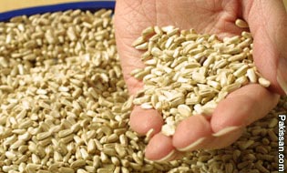 Seed production technology 