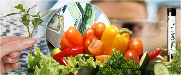 Profitability in organic farming :-Pakissan.com