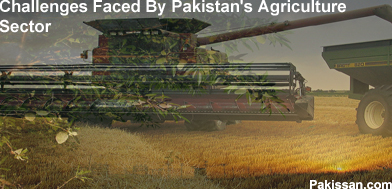 Challenges Faced By Pakistan's Agriculture Sector:-Pakissan.com
