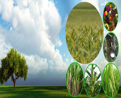 Need to improve Agri Yields:-Pakissan.com