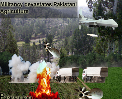Militancy devastates Pakistani agriculture:-Pakissan.com