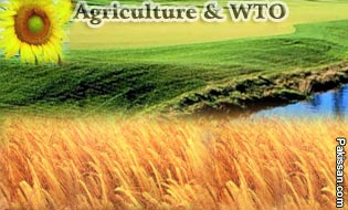 WTO Agreement on Agriculture